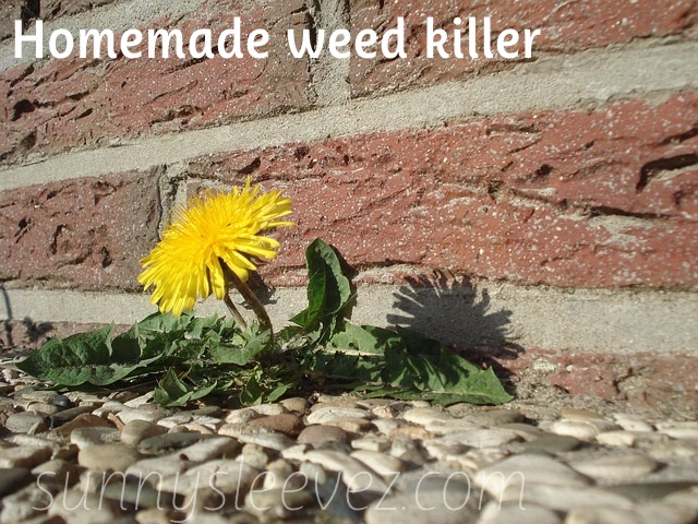 homemade weed killer
